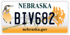 BIV682  license plate in NE
