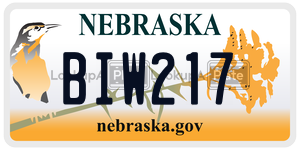 BIW217  license plate in NE