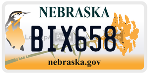 BIX658  license plate in NE