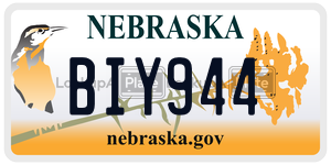 BIY944  license plate in NE