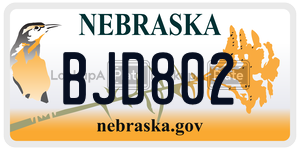 BJD802  license plate in NE