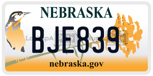 BJE839  license plate in NE