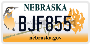 BJF855  license plate in NE