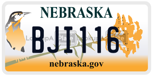 BJI116  license plate in NE