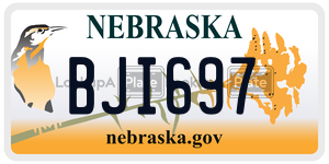BJI697  license plate in NE