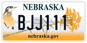 BJJ111  license plate in NE