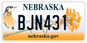 BJN431  license plate in NE