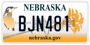 BJN481  license plate in NE