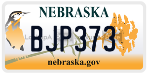 BJP373  license plate in NE