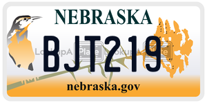 BJT219  license plate in NE