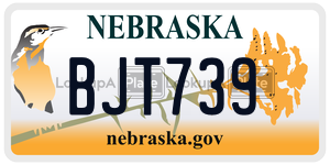 BJT739  license plate in NE