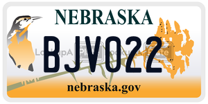BJV022  license plate in NE