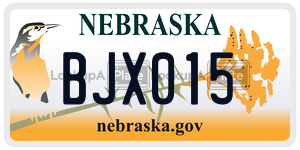 BJX015  license plate in NE