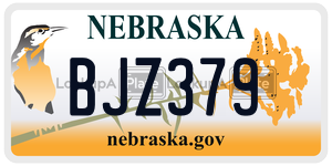 BJZ379  license plate in NE