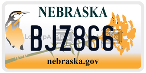 BJZ866  license plate in NE