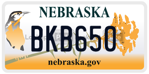 BKB650  license plate in NE