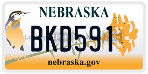 BKD591  license plate in NE
