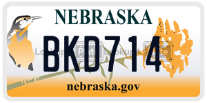 BKD714  license plate in NE