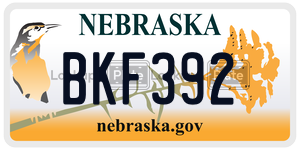 BKF392  license plate in NE