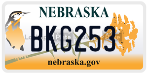 BKG253  license plate in NE