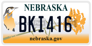 BKI416  license plate in NE
