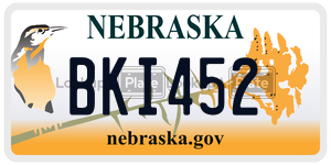 BKI452  license plate in NE