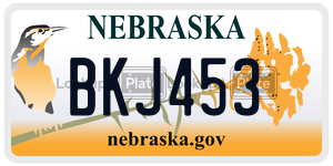 BKJ453  license plate in NE
