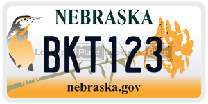 BKT123  license plate in NE