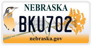 BKU702  license plate in NE