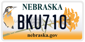 BKU710  license plate in NE