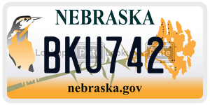 BKU742  license plate in NE