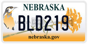 BLD219  license plate in NE