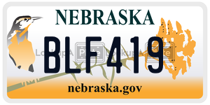 BLF419  license plate in NE