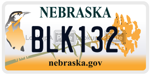 BLK132  license plate in NE