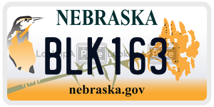 BLK163  license plate in NE
