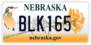 BLK165  license plate in NE