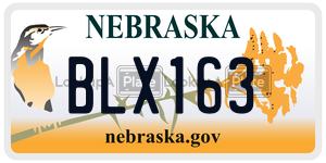 BLX163  license plate in NE