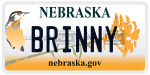 BRINNY  license plate in NE