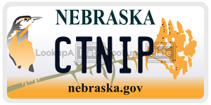 CTNIP  license plate in NE