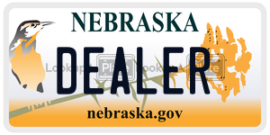 DEALER  license plate in NE