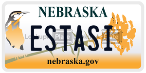 ESTASI  license plate in NE