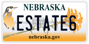 ESTATE6  license plate in NE