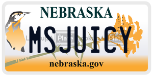 MSJUICY  license plate in NE