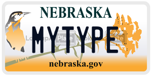 MYTYPE  license plate in NE