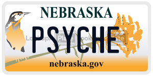 PSYCHE  license plate in NE