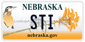 STI  license plate in NE