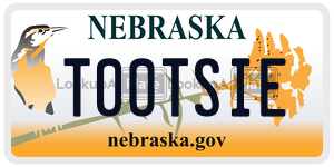 T00TSIE  license plate in NE