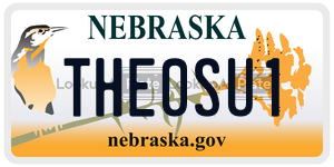 THE0SU1  license plate in NE