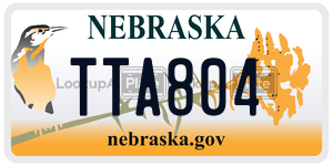 TTA804  license plate in NE