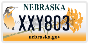 XXY803  license plate in NE
